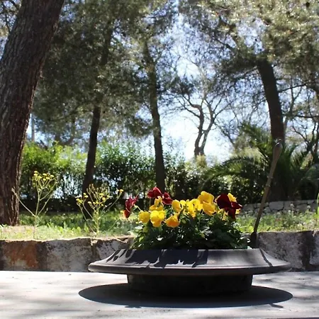 Trulli Pinnacoli *